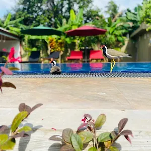 Resort The Kingslayer, Negombo